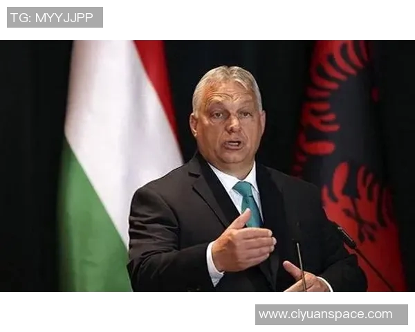 专访王丽：探寻她在篮球领域取得成功的秘诀与心路历程