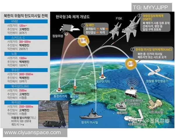 上海网球队防守体系解析与战术运用探讨