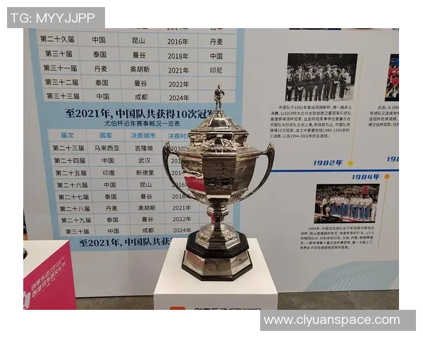 杭州羽毛球队杯赛征程回顾与奋斗精神的传承与启示