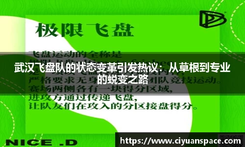 武汉飞盘队的状态变革引发热议：从草根到专业的蜕变之路