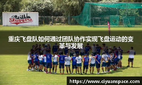 重庆飞盘队如何通过团队协作实现飞盘运动的变革与发展