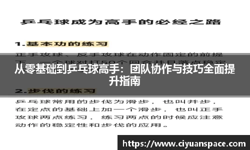 从零基础到乒乓球高手：团队协作与技巧全面提升指南