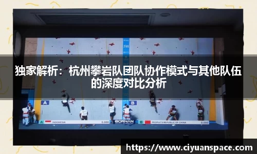 独家解析：杭州攀岩队团队协作模式与其他队伍的深度对比分析