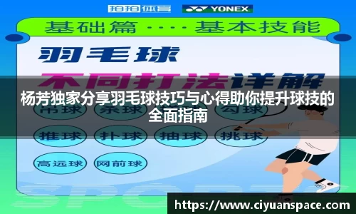 杨芳独家分享羽毛球技巧与心得助你提升球技的全面指南