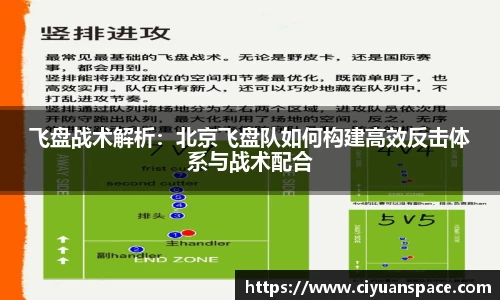 飞盘战术解析：北京飞盘队如何构建高效反击体系与战术配合