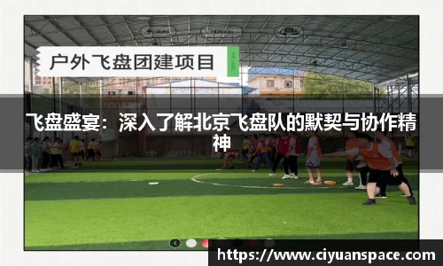 飞盘盛宴：深入了解北京飞盘队的默契与协作精神