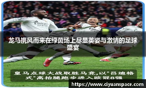 龙马携风而来在绿茵场上尽显英姿与激情的足球盛宴